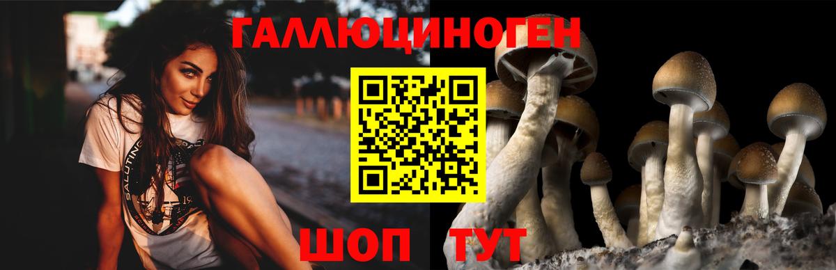 Псилоцибиновые грибы мухоморы Элиста