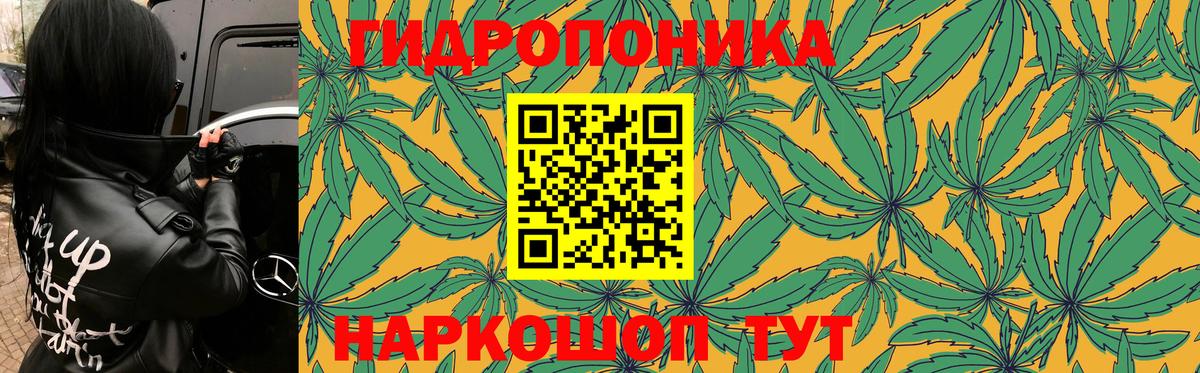 Бошки марихуана планчик Элиста